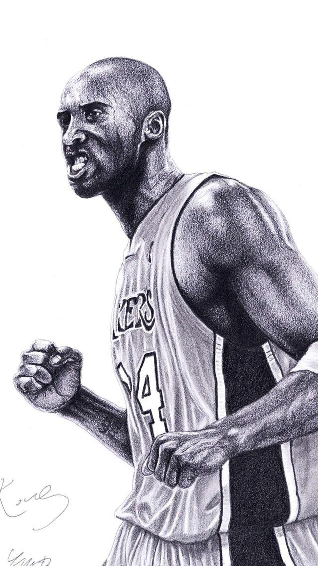 这两条路径 这两条路径