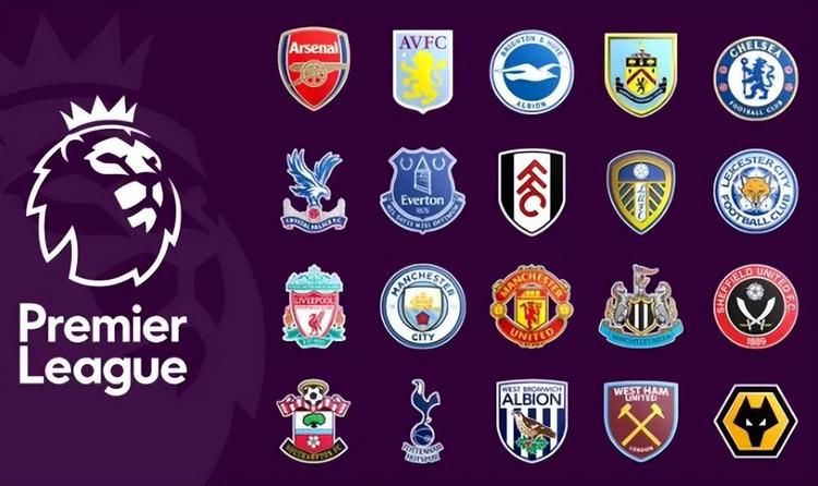 的文书编号 的文书编号